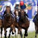 Evening Saigon (red cap) edges out Stratusnine in the Stewards’ Cup
