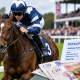 Jockey Earnings - How much do riders get paid per ride (2026/27)?