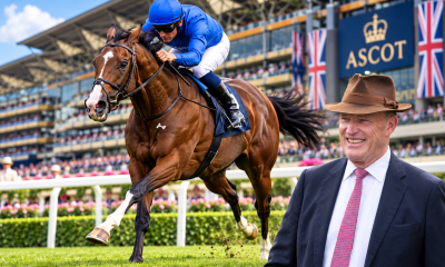Ombudsman Ascot