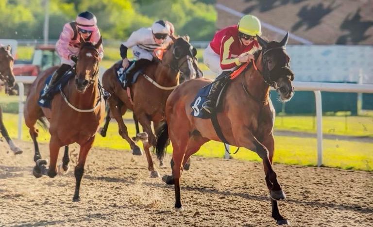 Lady Of Clover wins at Wolverhampton under Liam Wright