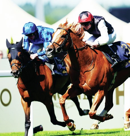 KYP DOUBLE