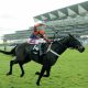 Harry Skelton: