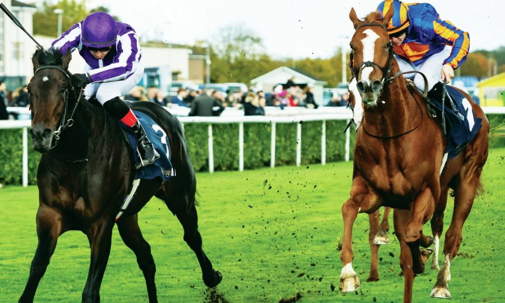 AIDAN SMASHES OWN RECORD: Ian Heitman highlights O’Brien’s sensational ...