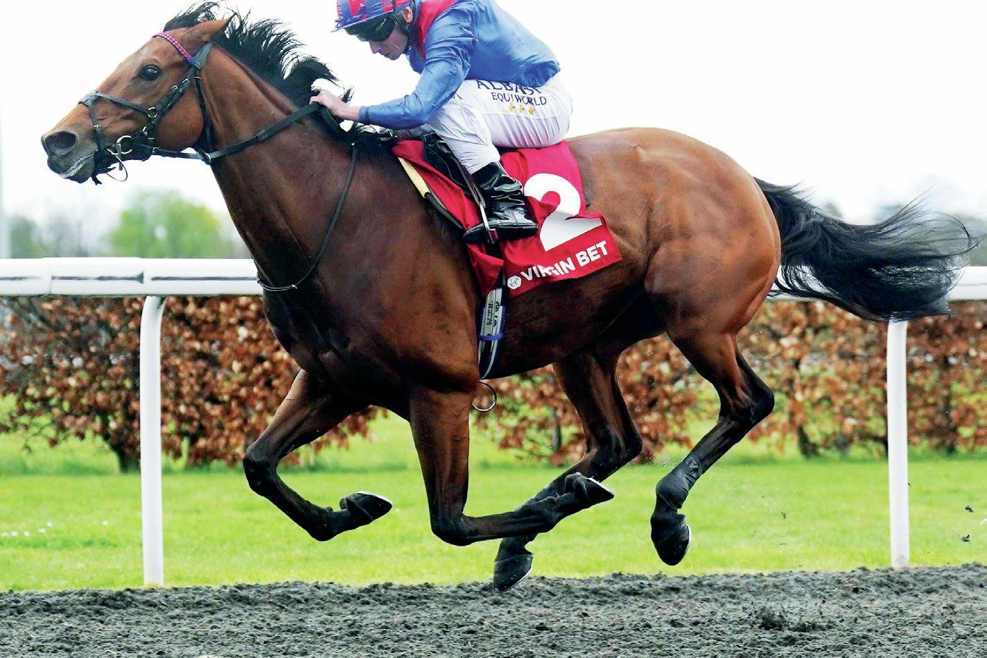 Dubai Honour ridden by jockey Ryan Moore at Southwell