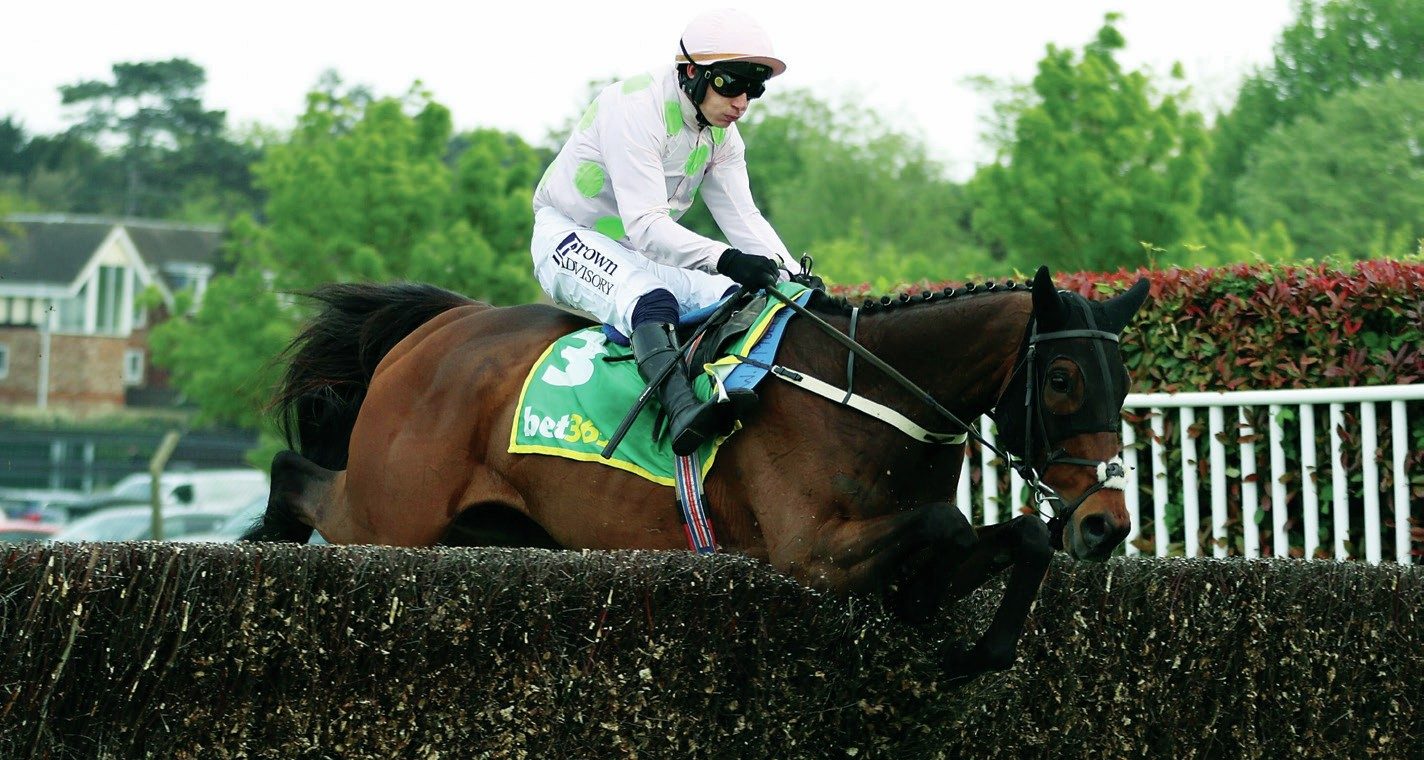 Gaelic Warrior ridden by Paul Townend