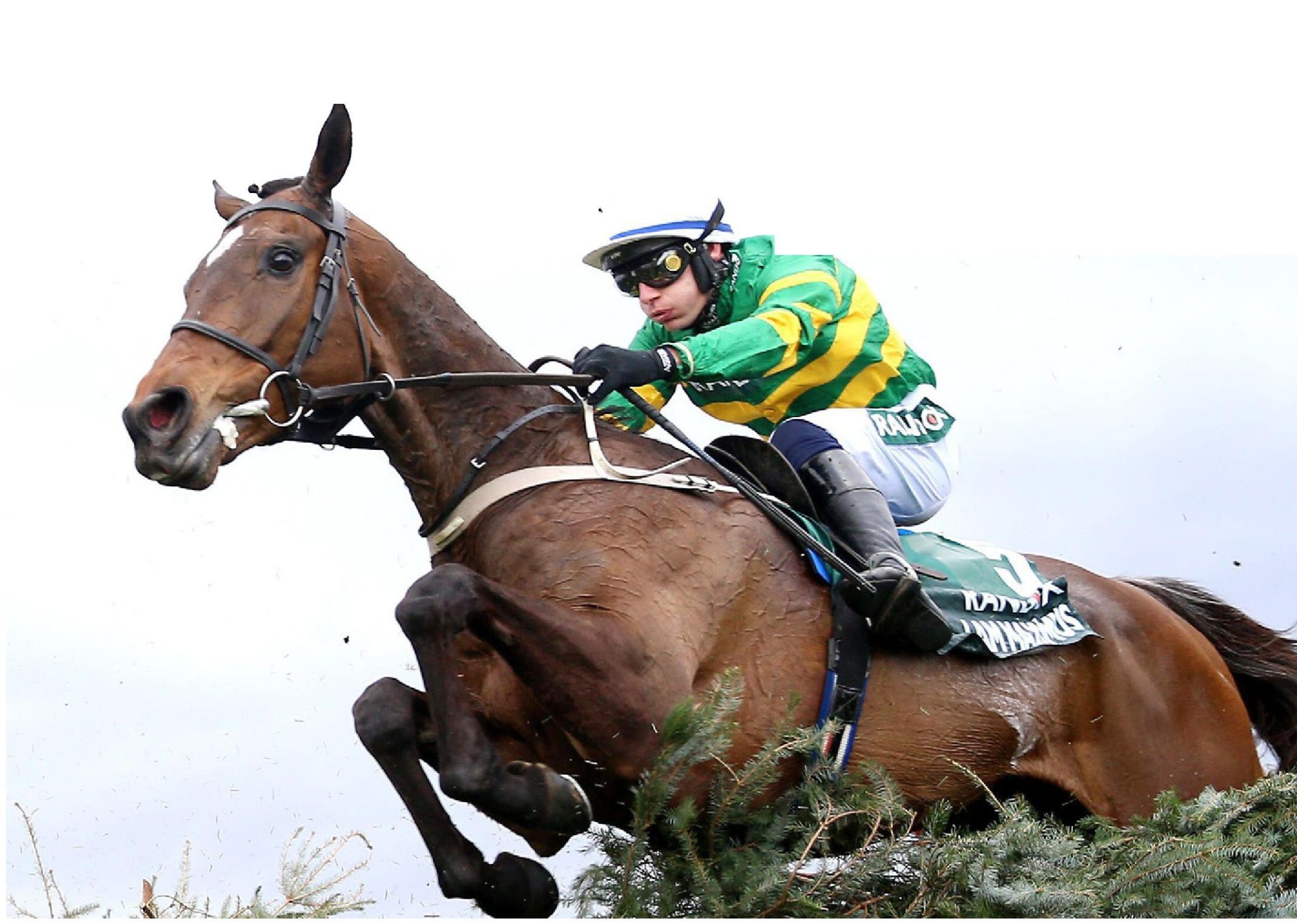IT'S MAX VALUE FOR MY MONEY: TOP TIPSTER'S FAB FOUR - Racing Ahead Magazine